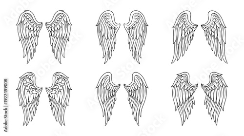 angel wings, 6 black delicate line drawings vector set collection , white background , PNG and SVG