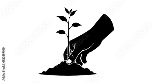 Hand planting a small green plant in the soil.