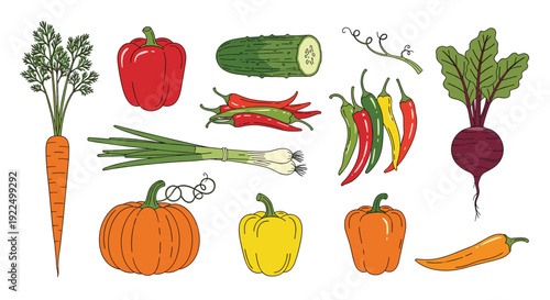 Selection of detailed vegetable illustrations including carrots, peppers, pumpkins, and beets for grocery and garden themes.