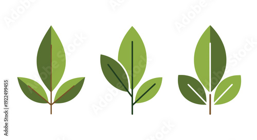 Bay leaf Line art abstract clean tone illustration