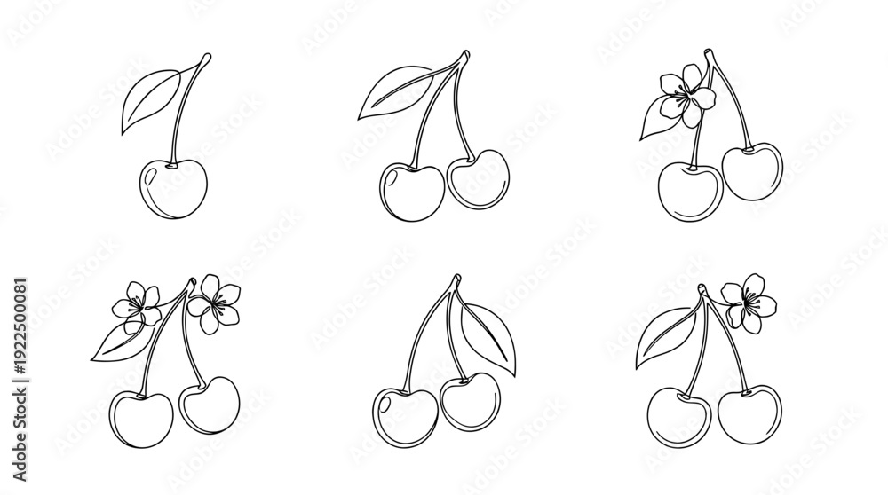 Fototapeta premium cherry, 6 black delicate line drawings vector set collection , white background , PNG and SVG
