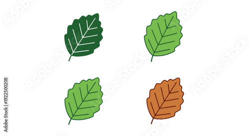 Beech leaf Line art minimal dynamic tone vector