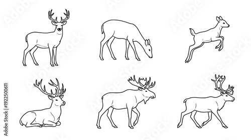 deer, 6 black delicate line drawings vector set collection , white background , PNG and SVG