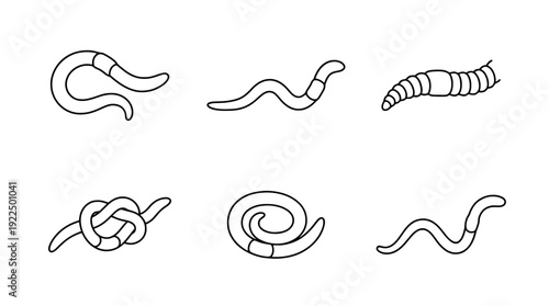 earthworm, 6 black delicate line drawings vector set collection , white background , PNG and SVG
