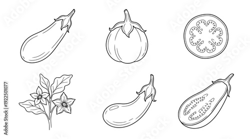 eggplant, 6 black delicate line drawings vector set collection , white background , PNG and SVG