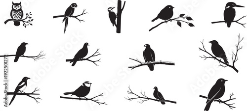 Collection of Minimalist Bird Silhouette Icons Featuring Various Species Perched on Branches in Elegant Black Vector Line Art Style.