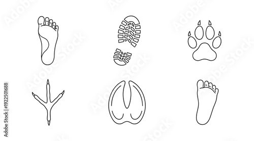 footprint, 6 black delicate line drawings vector set collection , white background , PNG and SVG