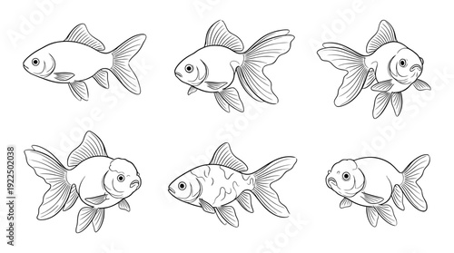 goldfish, 6 black delicate line drawings vector set collection , white background , PNG and SVG