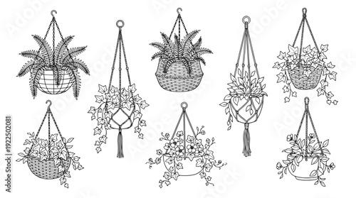 hanging basket, 6 black delicate line drawings vector set collection , white background , PNG and SVG