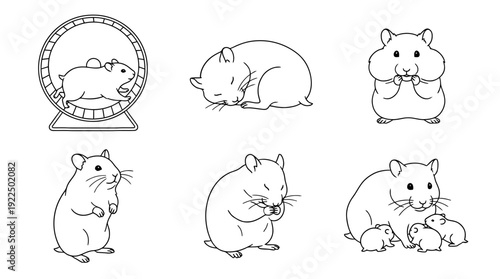 hamster, 6 black delicate line drawings vector set collection , white background , PNG and SVG