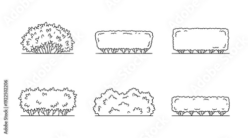 hedge, 6 black delicate line drawings vector set collection , white background , PNG and SVG