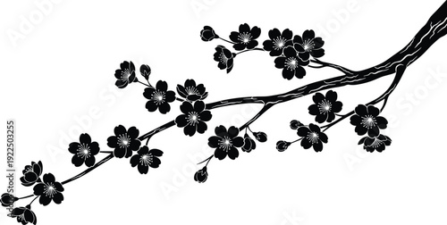 Black silhouette cherry blossom branch, plum tree flowers blooming, elegant sakura twigs detailed petals buds, minimalist vector illustration, Japanese floral design element