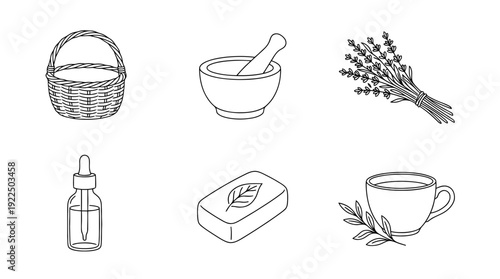 natural product, 6 black delicate line drawings vector set collection , white background , PNG and SVG