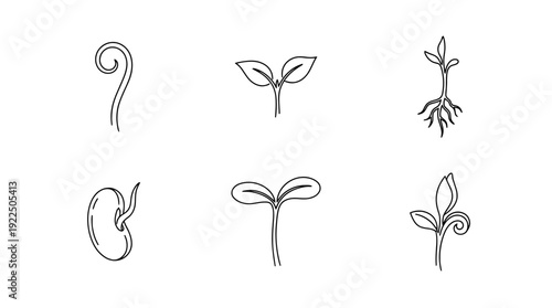 sprout, 6 black delicate line drawings vector set collection , white background , PNG and SVG