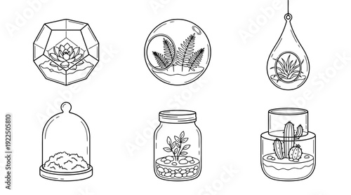 terrarium, 6 black delicate line drawings vector set collection , white background , PNG and SVG