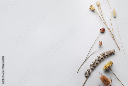 Composition with different ...