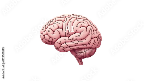 Human Brain Anatomy SVG Vector – Detailed Neuroscience and Intelligence Concept Illustration Isolated on Transparent Background for Medical, Education, and Research Design