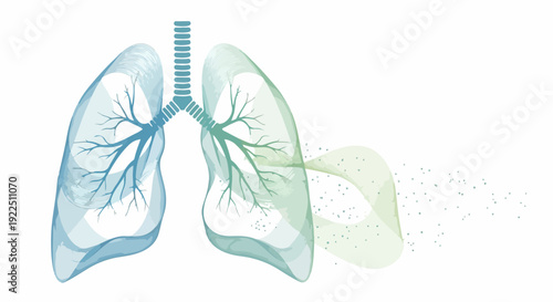 Human lungs graphic illustrates internal anatomy, trachea and branching bronchial tree. Blue green stylized flow depicts air or particles from human lungs, symbolizing breath or pollution.