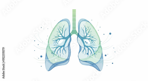 Human lungs illustration representing healthy respiratory system anatomy. Human lungs depicting trachea, bronchi, and alveoli with tiny air particles. Concept human lungs for medical education,
