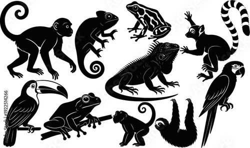 Jungle tropical animals silhouette collection vector set