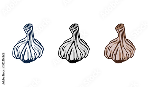 Garlic logo. Isolated garlic on white background 
