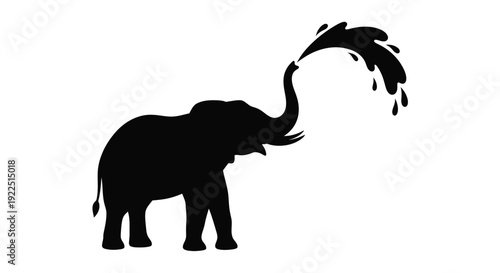 Elephant spraying water with its trunk a striking black silhouette