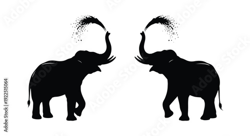 Two elephants spraying water with trunks a striking black silhouette