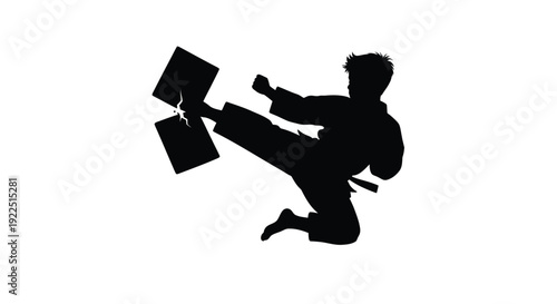 Dynamic kick in mid air with books a striking black silhouette