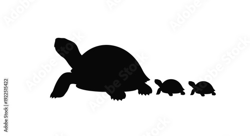Family of turtles walking forward a striking black silhouette