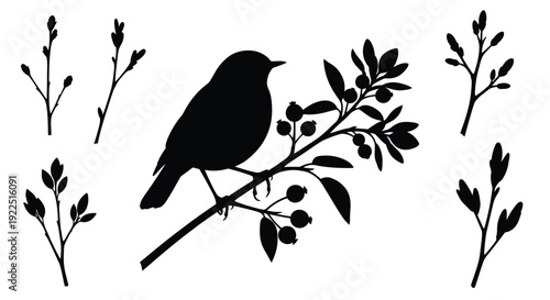 A bird perched on a branch with foliage a striking silhouette