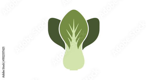Bok choy leaf Line soft tone vector design
