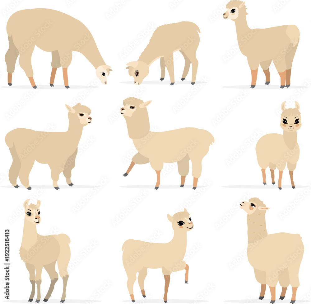 Fototapeta premium Collection of cute animals. Llamas and alpacas in various poses and beige colors. Vector. Isolated