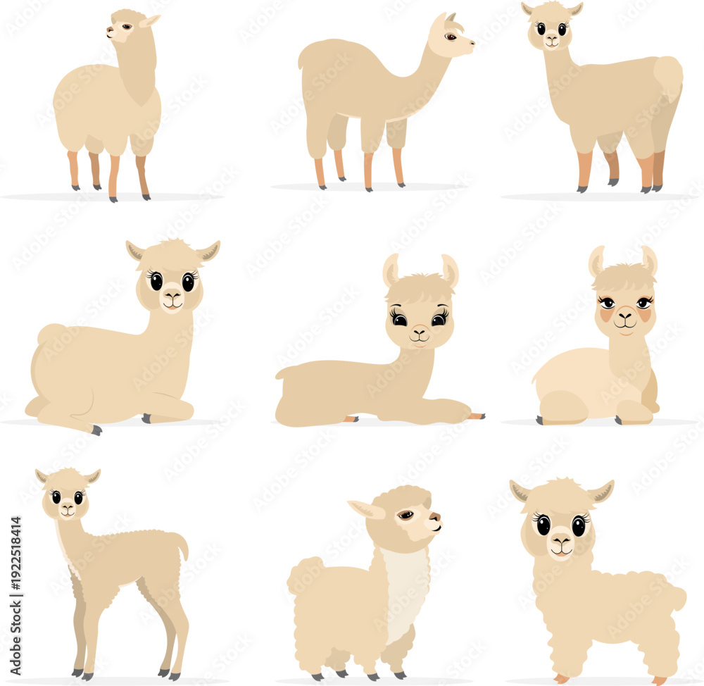 Fototapeta premium Collection of cute animals. Llamas and alpacas in various poses and beige colors. Vector. Isolated