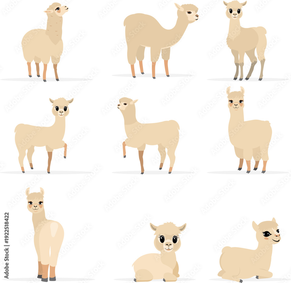 Fototapeta premium Collection of cute animals. Llamas and alpacas in various poses and beige colors. Vector. Isolated