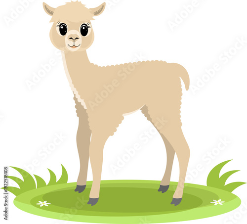 Farm Animals. Cute farm. A baby llama stands in a meadow. Collection of farm animals. Flat vector illustration. Isolated