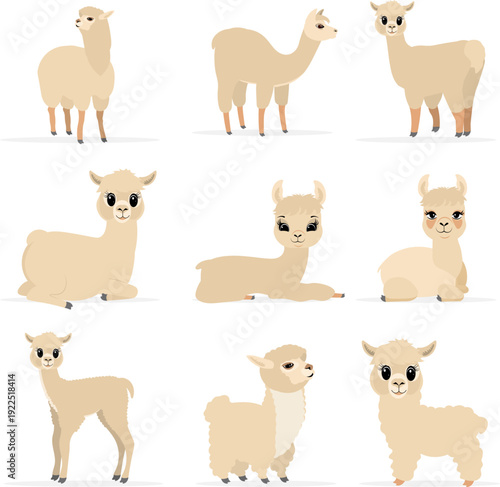 Collection of cute animals. Llamas and alpacas in various poses and  beige colors. Vector. Isolated