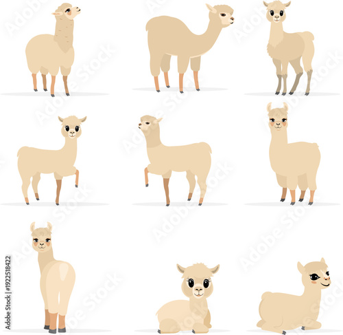 Collection of cute animals. Llamas and alpacas in various poses and  beige colors. Vector. Isolated