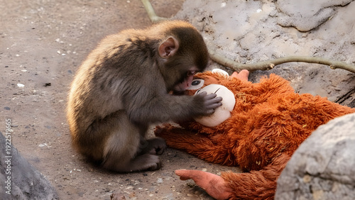 Punch the Monkey - Punch, a baby Japanese macaque holding plush toy in Zoo, very emotional scene