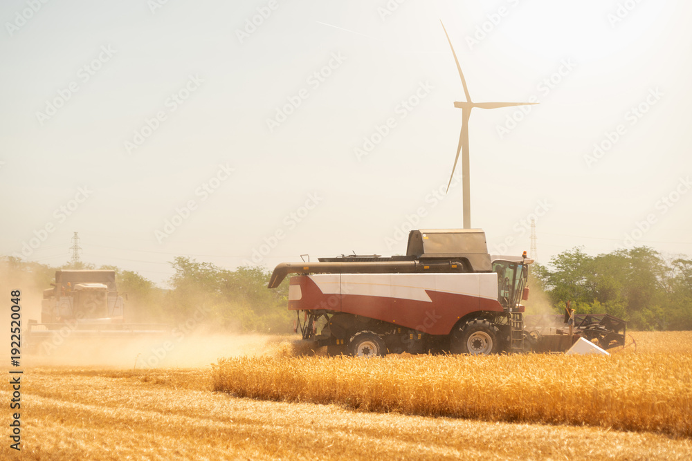 Fototapeta premium Combine harvester on the field at sunset. Wind turbine on the horizon
