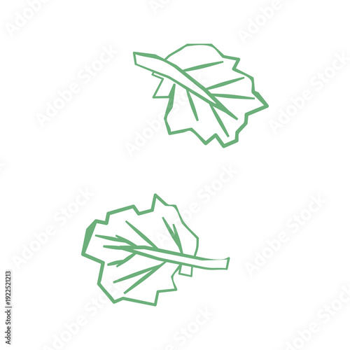 Fresh kale illustration. Simple line style icon of leafy greens for farmers market advertising. Vector symbol of harvested food in minimal handdrawn outline style.