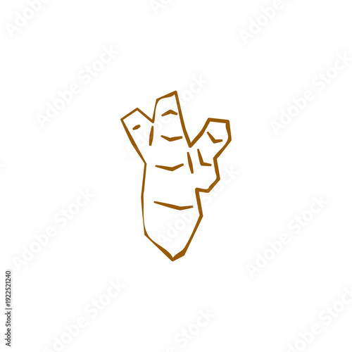Fresh ginger illustration. Simple line style icon of root vegetable for farmers market advertising. Vector symbol of harvested spices in minimal handdrawn outline style.