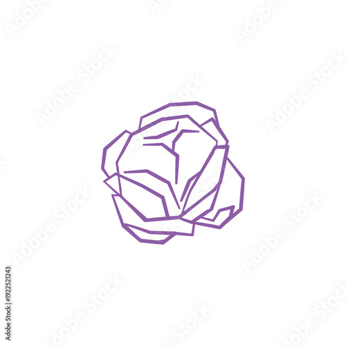 Fresh red cabbage illustration. Simple line style icon of cabbage vegetable for farmers market advertising. Vector symbol of harvested salad vegetables in minimal handdrawn outline style.
