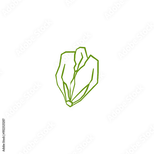 Fresh romaine lettuce illustration. Simple line style icon of cabbage vegetable for farmers market advertising. Vector symbol of harvested salad vegetables in minimal handdrawn outline style.