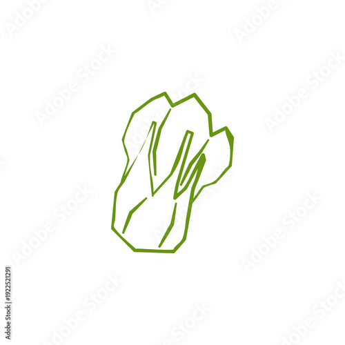 Fresh bok choy illustration. Simple line style icon of chinese cabbage vegetable for farmers market advertising. Vector symbol of harvested salad vegetables in minimal handdrawn outline style.