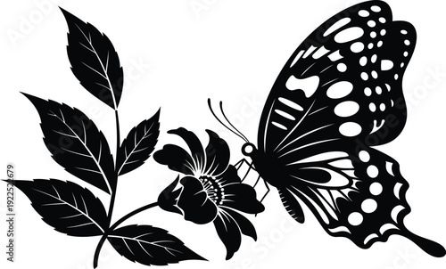 Elegant black and white illustration of a butterfly with patterned wings on a flowering plant stem
