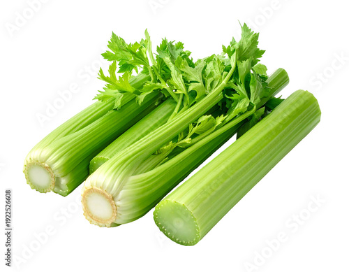 Fresh green celery stalks with leaves isolated on white background.