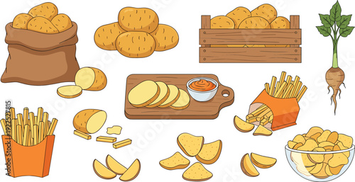 Potato Products Collection with Fresh Potatoes Fries Chips and Snacks Vector Illustration Set