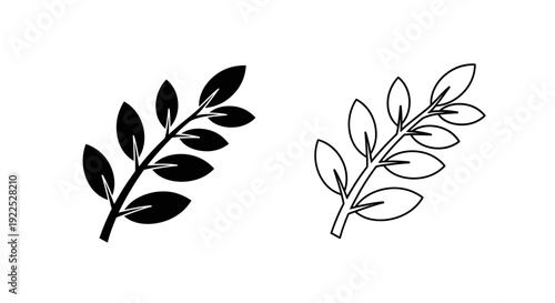 Two different types of leaves illustration drawing Vector