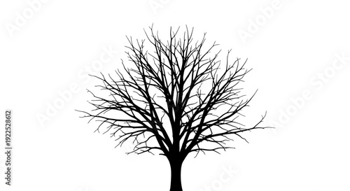 Bare tree silhouette against a white background.