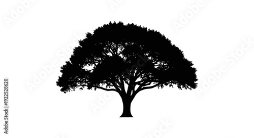 Silhouette of a tree with lush foliage against a white background.